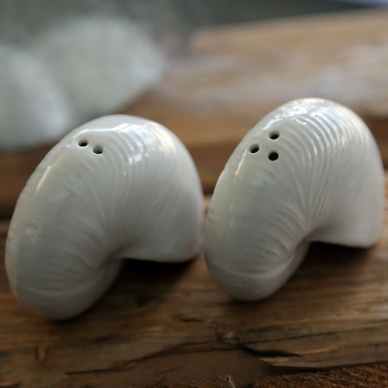 Nautilus Salt & Pepper 7,8x4,3cm