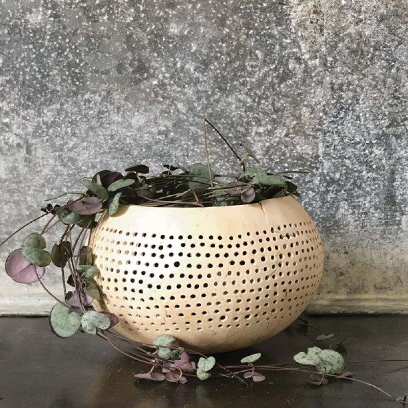 Coconut bowl – Cream small dots  (13cm  approximately)