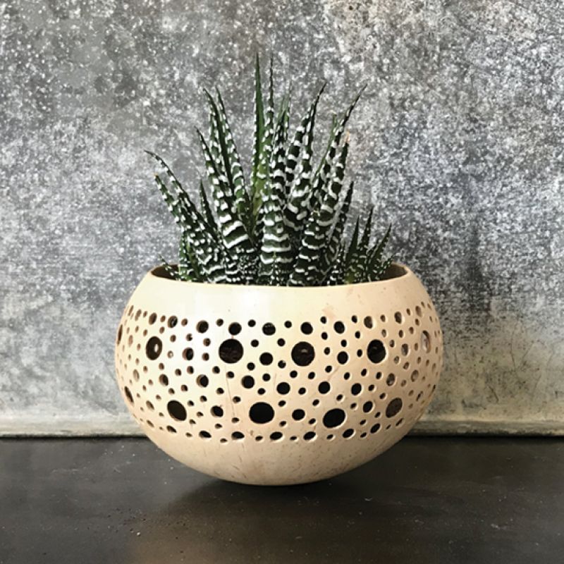 Μπολ καρύδας - Μεγάλες τρύπες