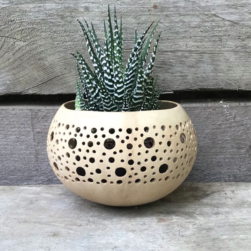 Μπολ καρύδας - Μεγάλες τρύπες