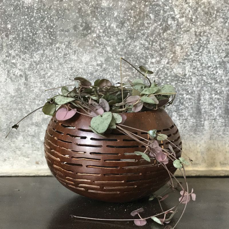 Coconut bowl – Brown horizontal  lines (13cm approximately)