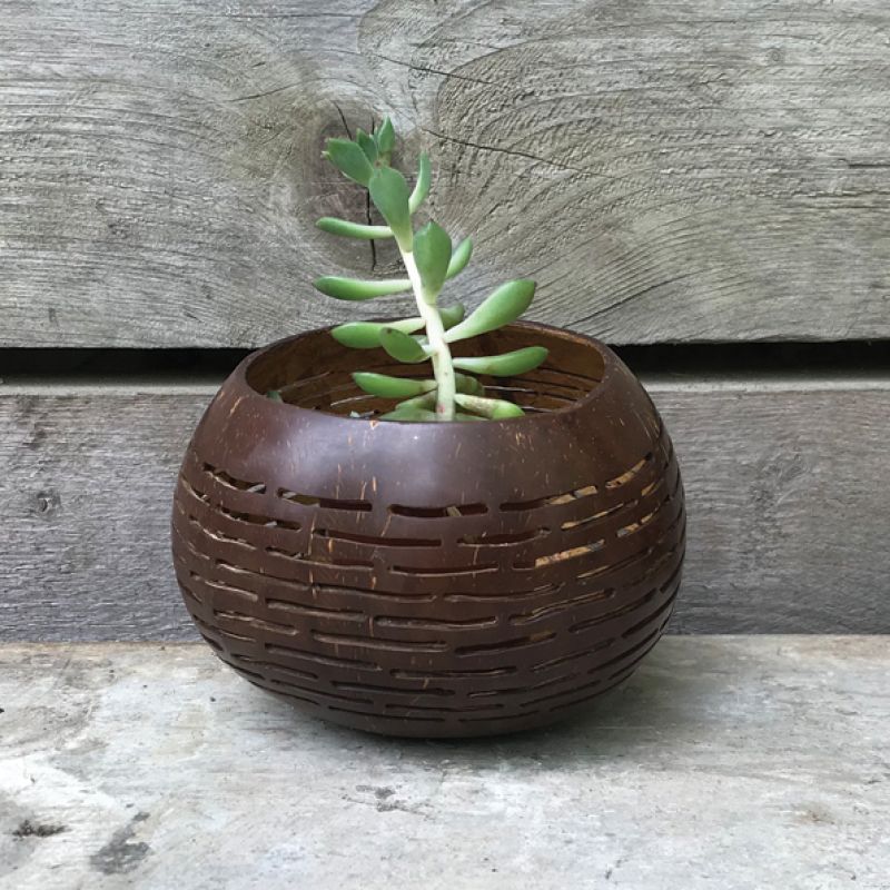 Coconut bowl – Brown horizontal  lines (13cm approximately)