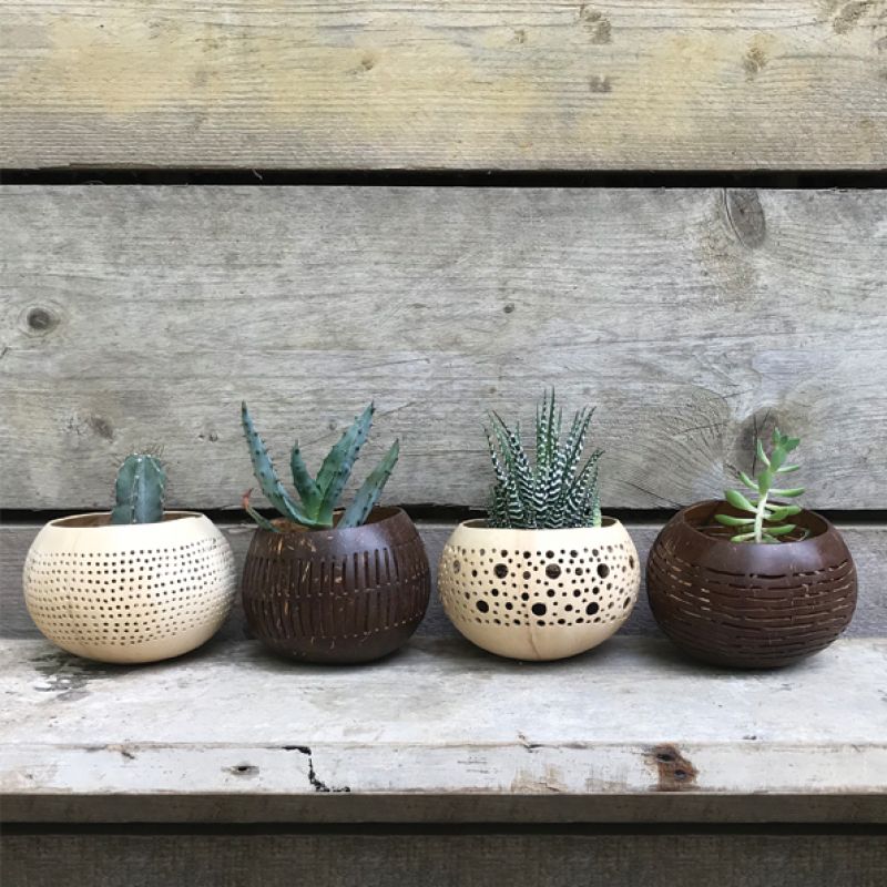 Coconut bowl – Brown horizontal  lines (13cm approximately)