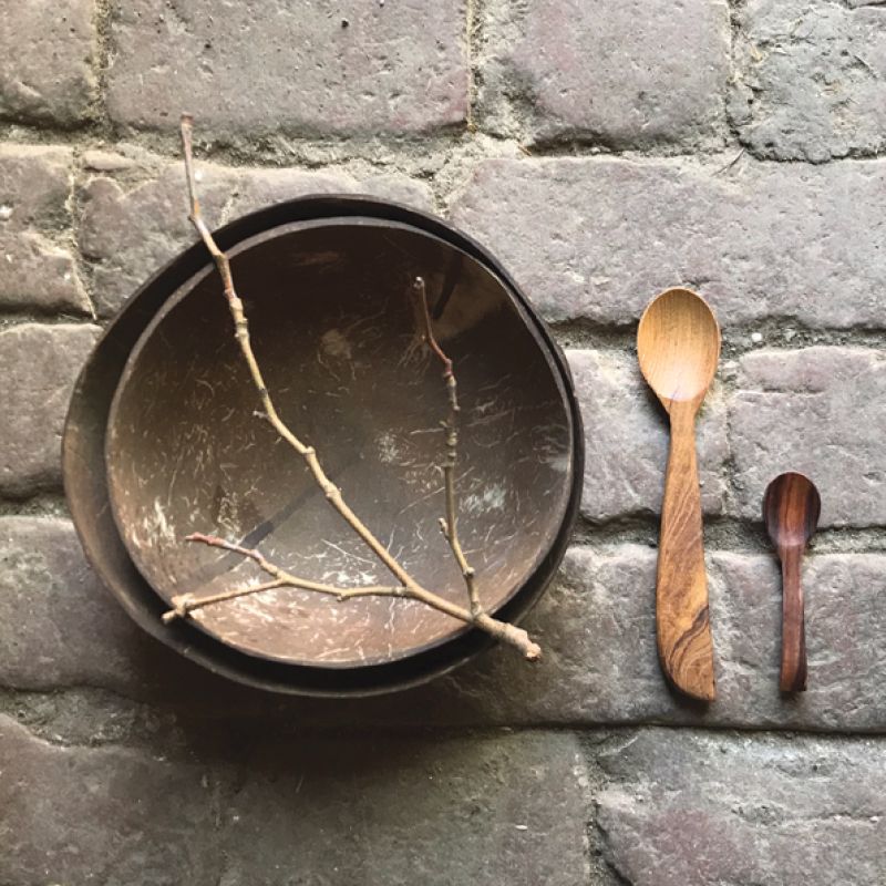 Set of 2 coconut bowls