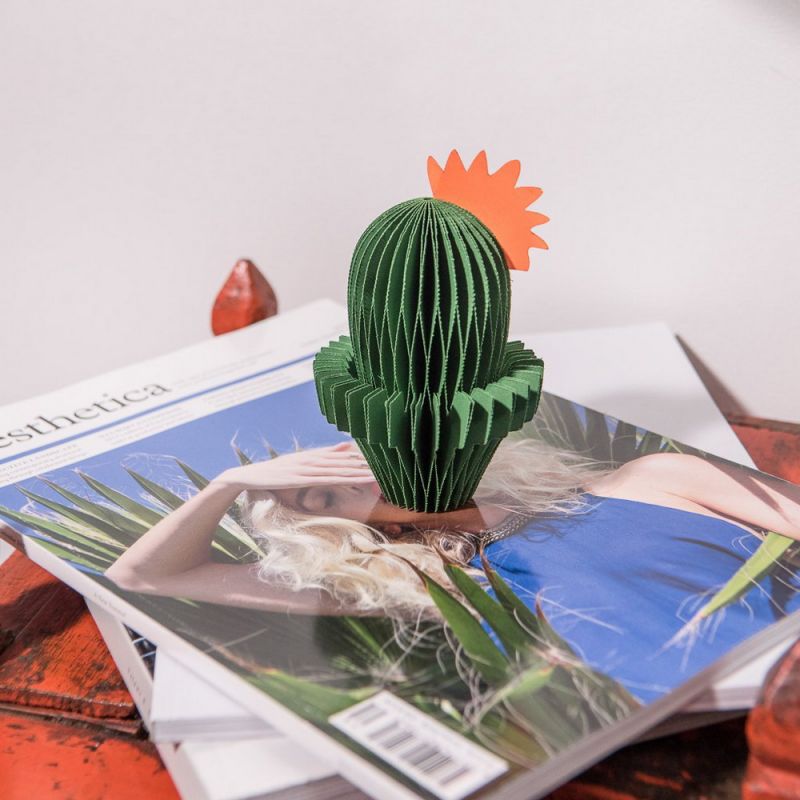 Κάκτος από χαρτί concertina 12,5εκ.