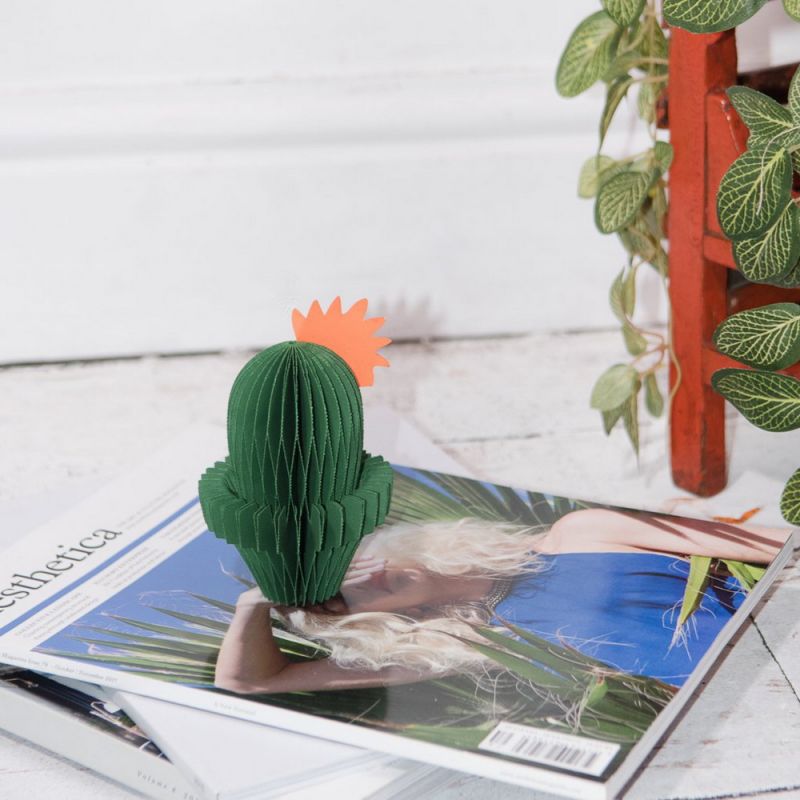 Κάκτος από χαρτί concertina 12,5εκ.