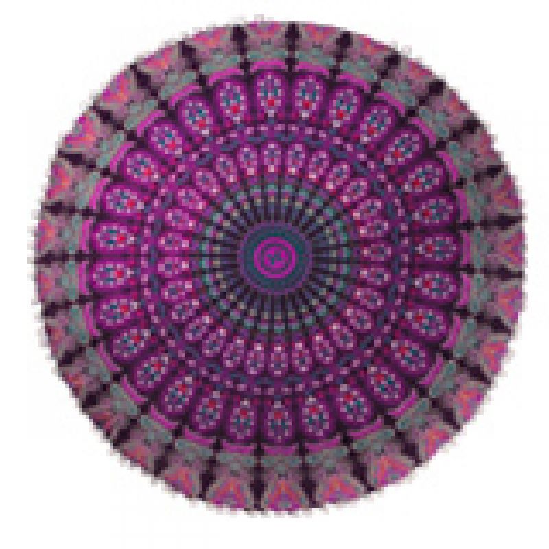 Peacock Cotton Floor Cushion -Purple