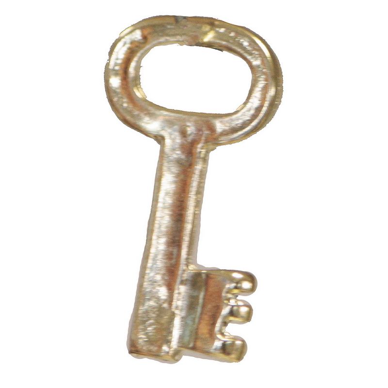 Key gold 2,5cm